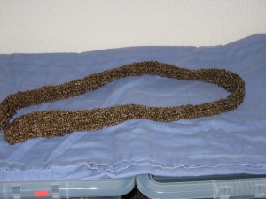 Hand Knitted Milk Chocolate Skinny Fashion Scarflette