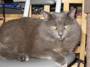 Smokey