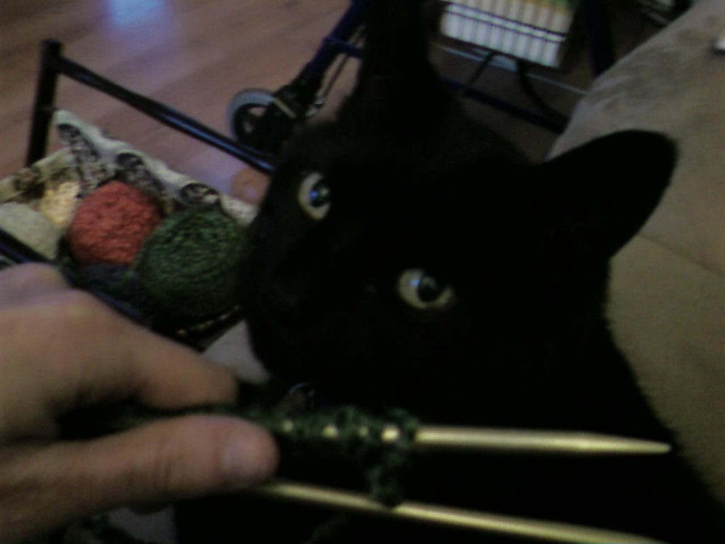 Elsa helping me knit (Jan 2008)